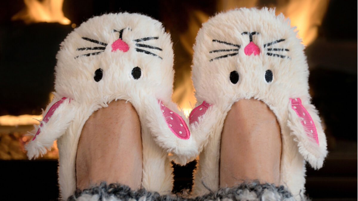 crazy bunny slippers