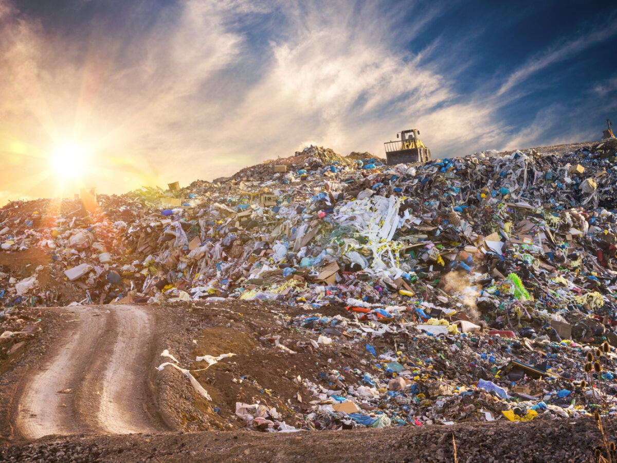 Trash to Gold: Another Solution to Combat Pollution