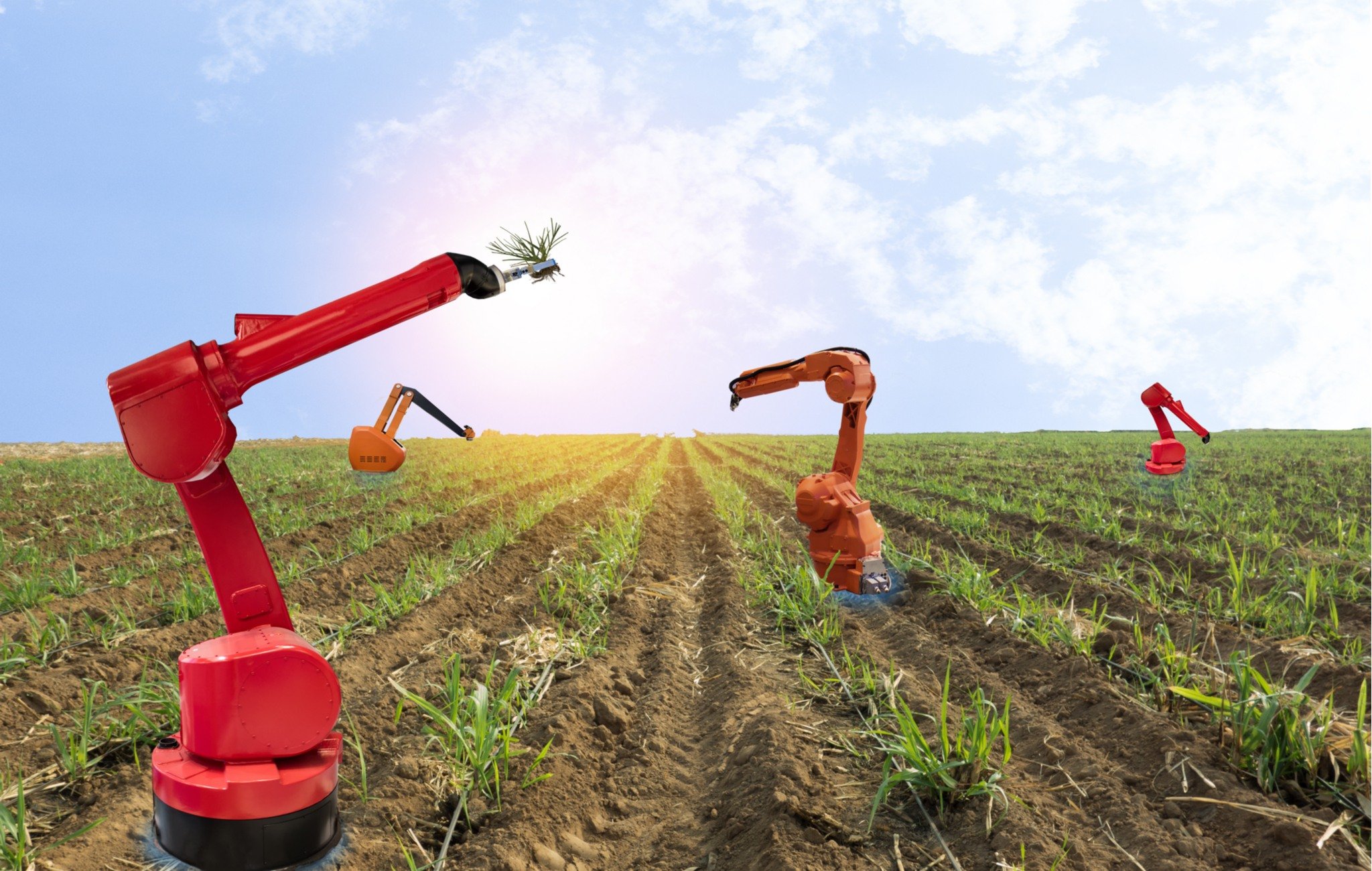 Capitalism Can’t Fix An Artificial Labor Shortage