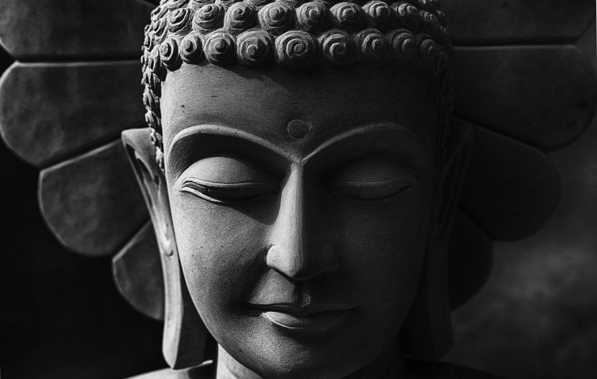 Modern Economics and What the Buddha Taught