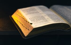 Intersections Between the Bible and Economics 