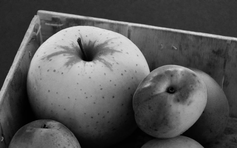 Why Consumption—Not Production—Is the True Goal of Economic Activity